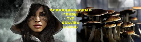 COCAINE Бородино