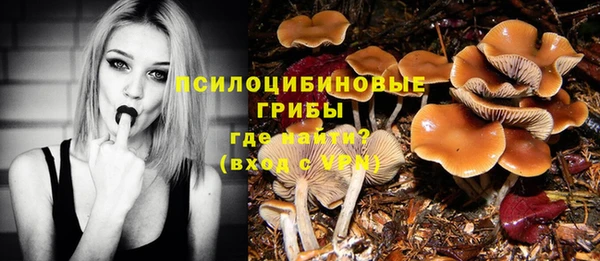 дурь Бугульма